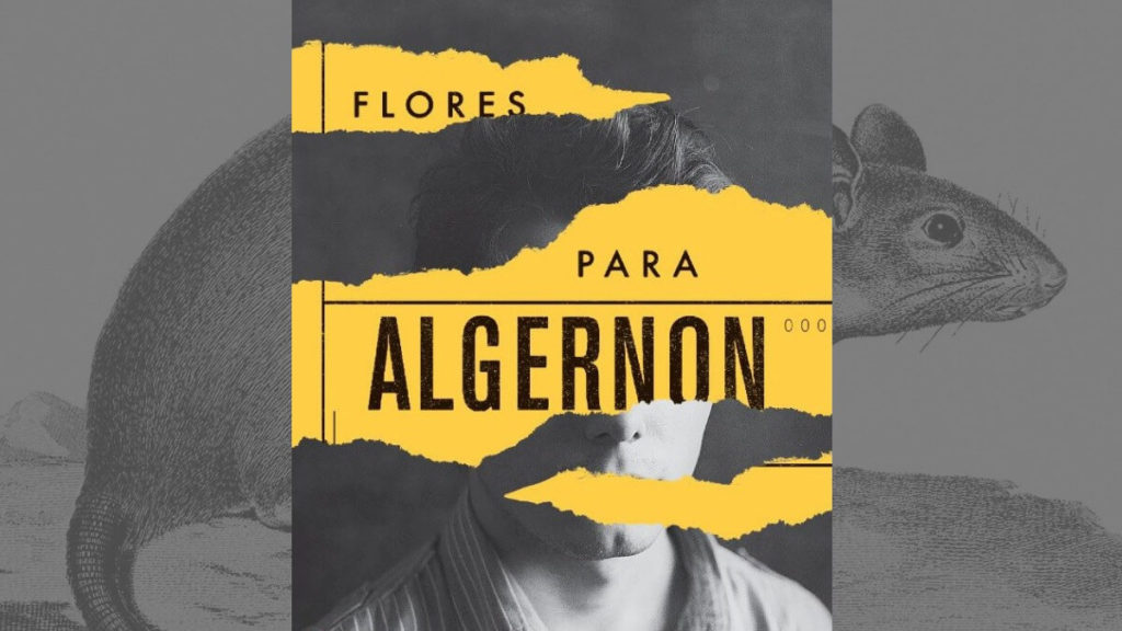 Destaque do livro Florres para Algernon