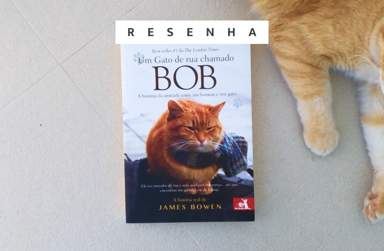 Opinião: Um Gato de Rua Chamado Bob, de James Bowen No centro, o livro Um gato de rua chamado Bob, com os dizeres "Resenha". A direita, um gato laranja deitado