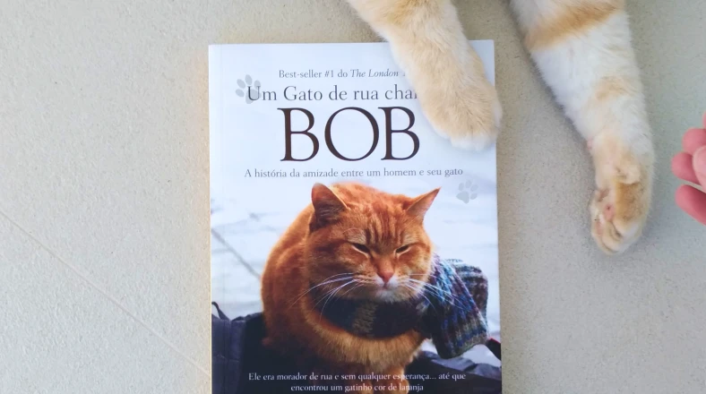 Livro Um gato de rua chamado Bob com patinhas de gato por cima da edição