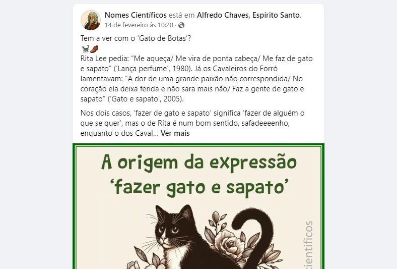 Post sobre a origem da expressão "fazer gato e sapato"