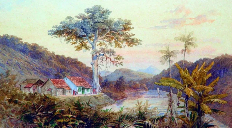 Imagem da primeira aglomeração de casas, na Província de SC, Colônia de Blumenau.